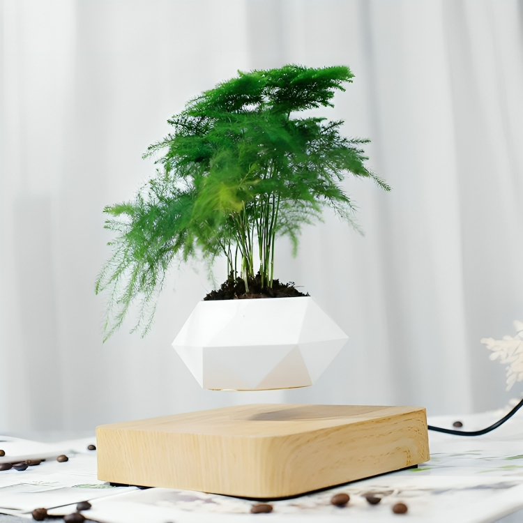 Levitating Air Bonsai Pot Rotation Flower Pot Planters Magnetic Suspension Floating Pot Potted Plant Home Without plants