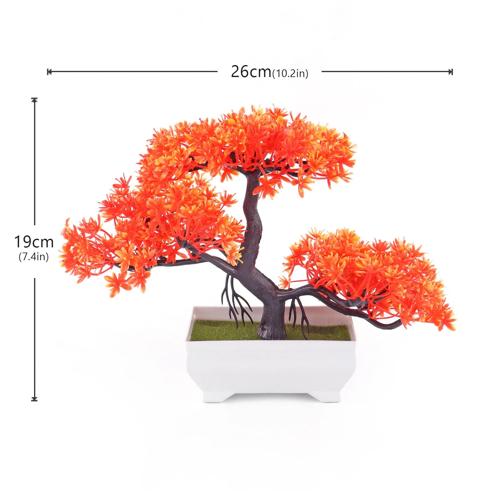 Plant Tree Window Sill Office Table Desktop Decoration