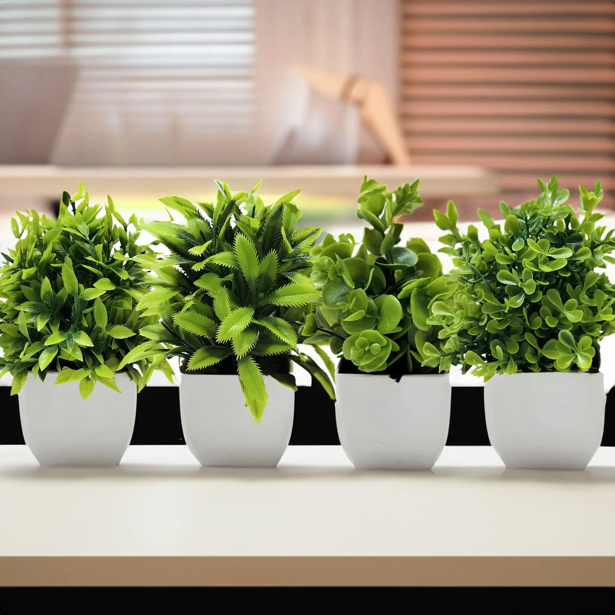 Plant Tree Window Sill Office Table Desktop Decoration