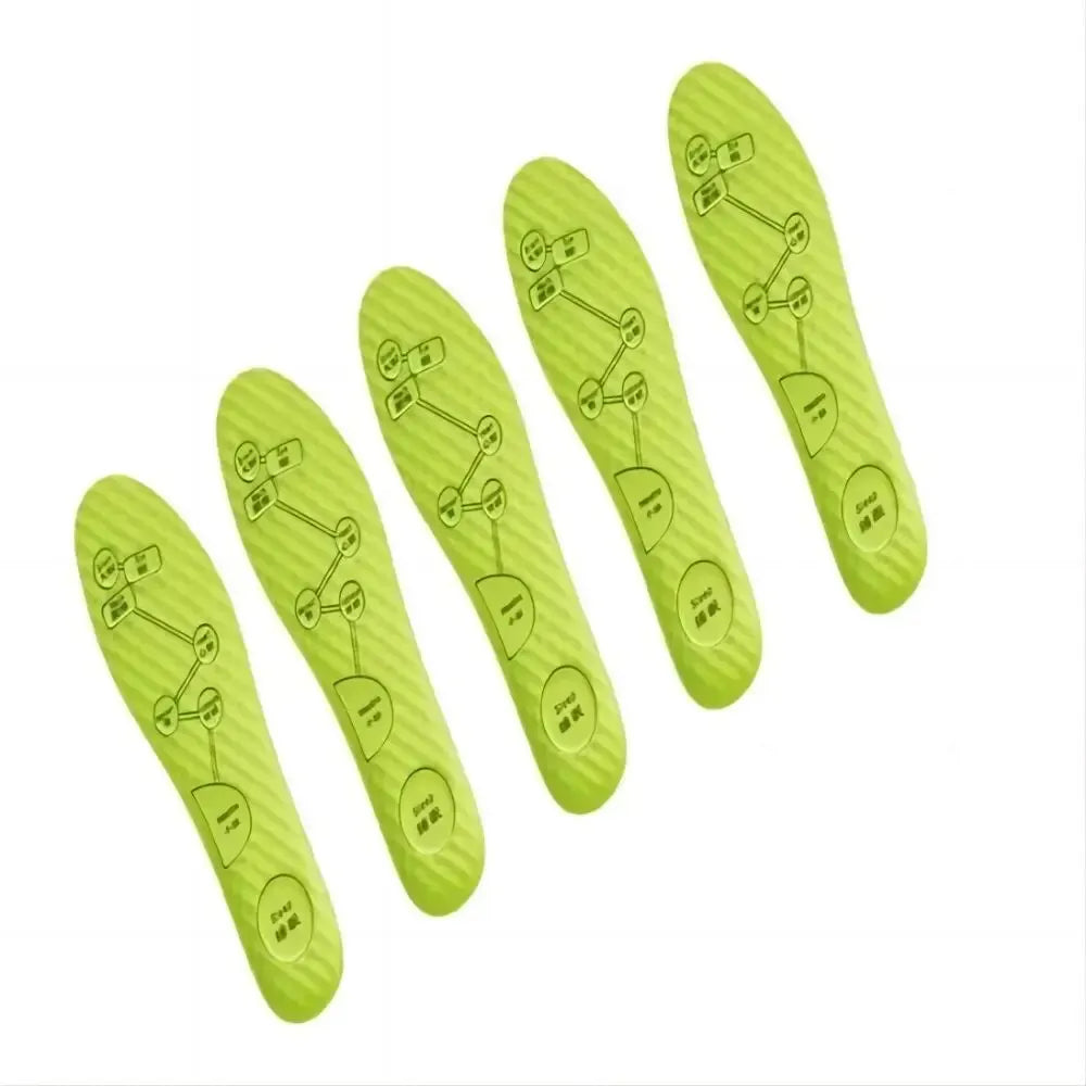 Wormwood Massage Insoles