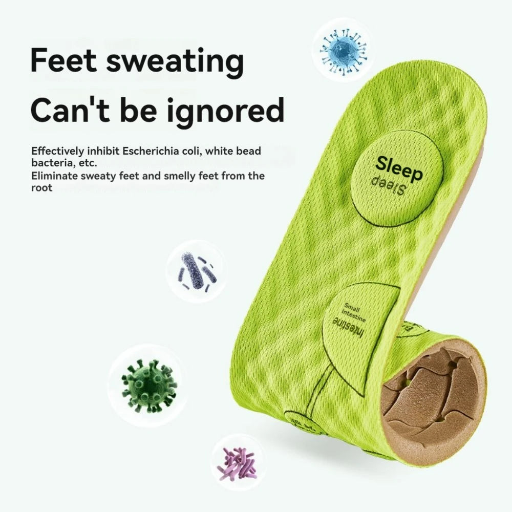 Wormwood Massage Insoles